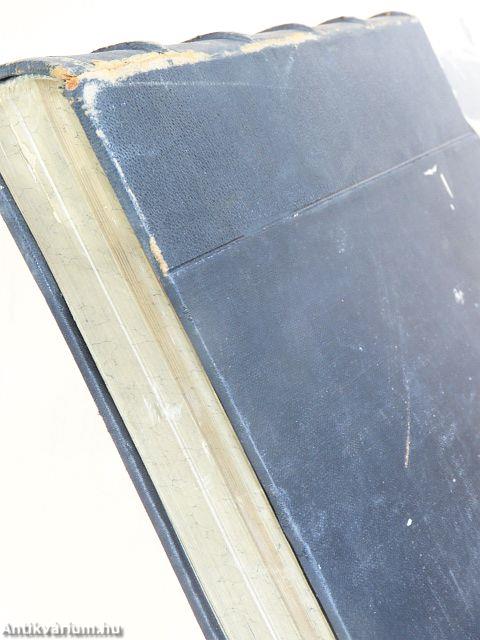 Archiv für Anthropologie X./Korrespondenz-Blatt der Deutschen Gesellschaft 1911. Januar-Dezember