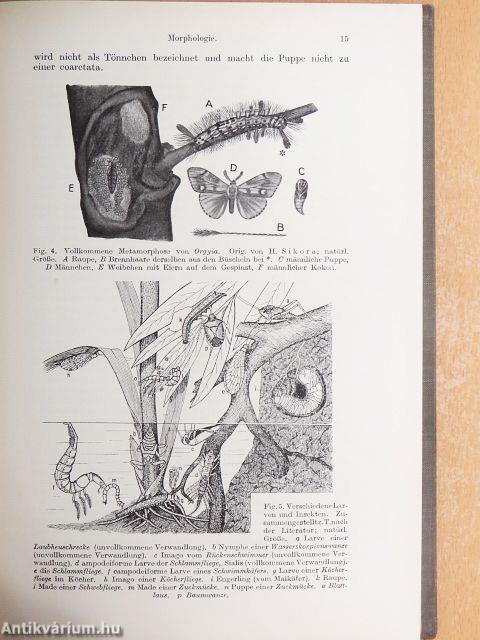 Lehrbuch der medizinischen Entomologie