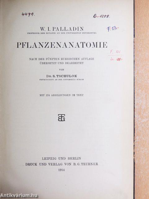 Pflanzenanatomie
