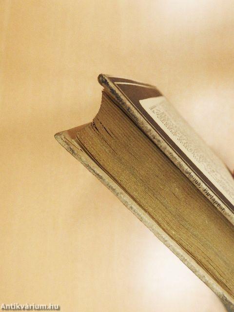 Az őskor embere és kultúrája