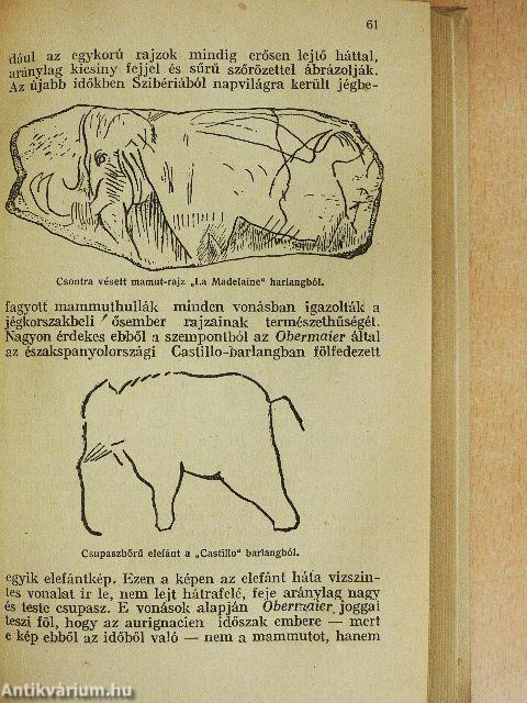 Az őskor embere és kultúrája