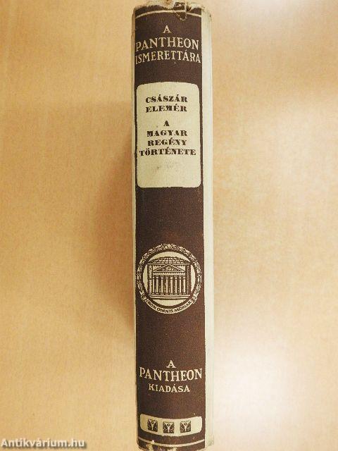 A magyar regény története