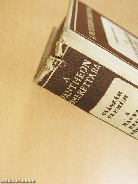 A magyar regény története