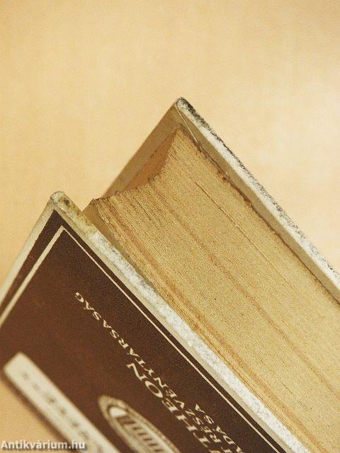 A magyar regény története