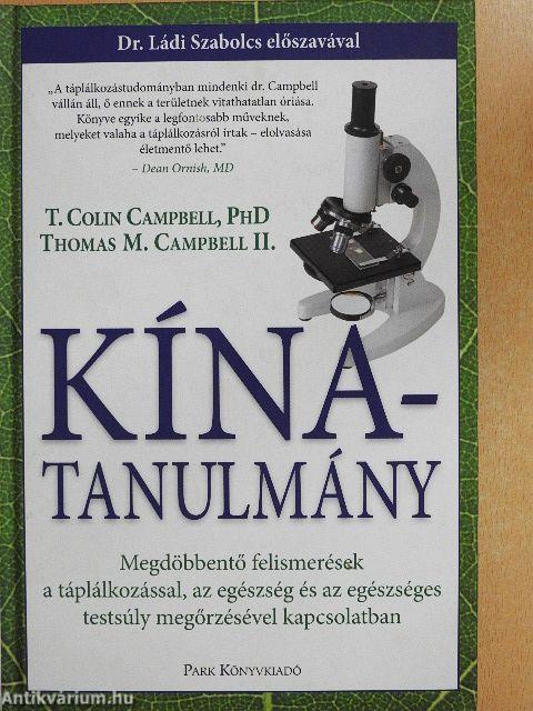 Kína-tanulmány