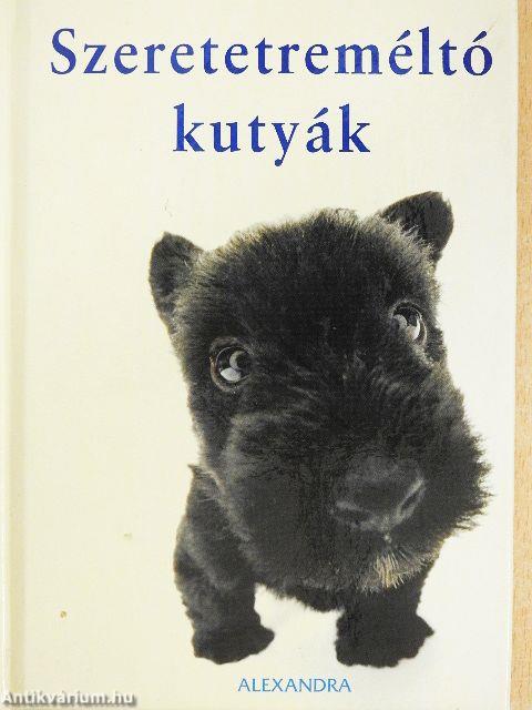 Szeretetreméltó kutyák