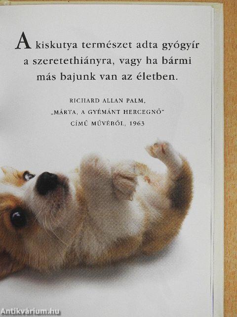 Szeretetreméltó kutyák