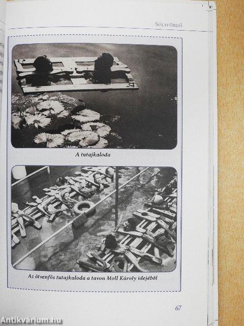 Hévízi gyógymódok