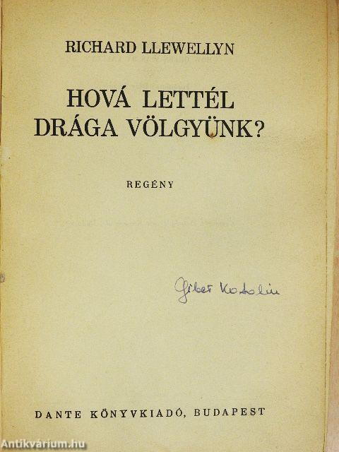 Hová lettél drága völgyünk?