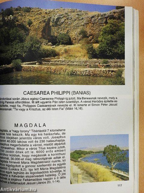 A Szentföld színes képekben