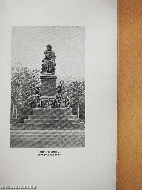 Der Liederfürst Franz Schubert Und Wien 1828-1928