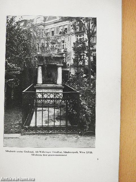 Der Liederfürst Franz Schubert Und Wien 1828-1928