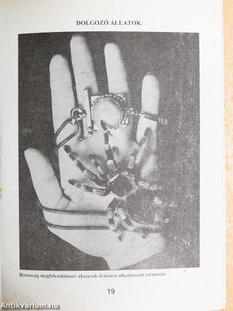 A világ legnagyobb szenzációi