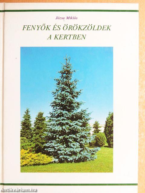 Fenyők és örökzöldek a kertben