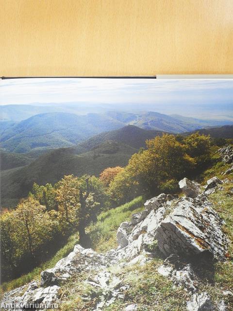 Attingo Caelum - Slovensko (dedikált példány)
