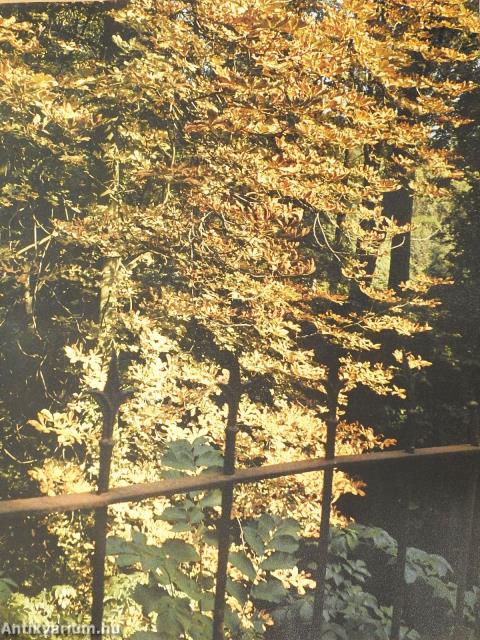 Kastélyok a történelmi Magyarországról (dedikált példány)