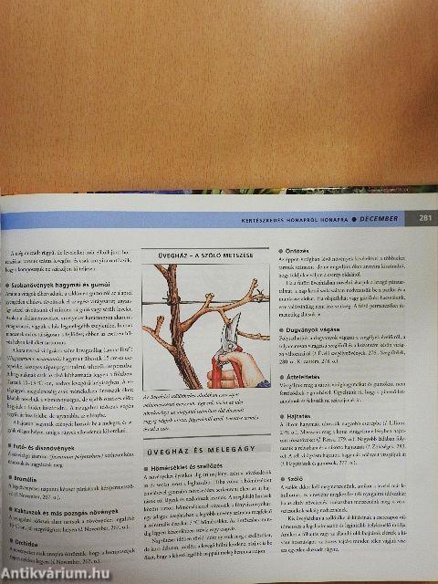 Kertészkedés hónapról hónapra