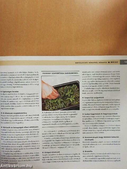 Kertészkedés hónapról hónapra