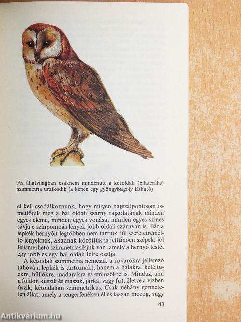 Élet és szimmetria