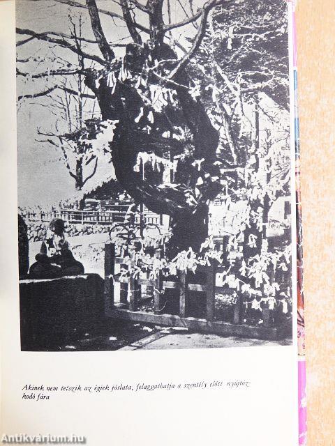 Japán a Kakas évében