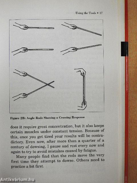 Dowsing for Beginners