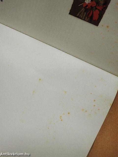 Flamand közmondások