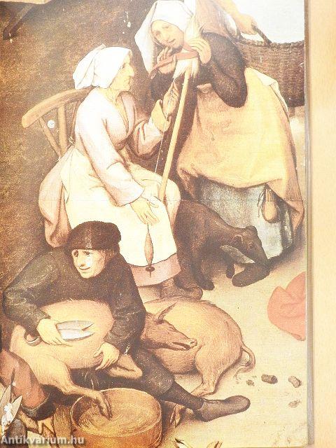 Flamand közmondások