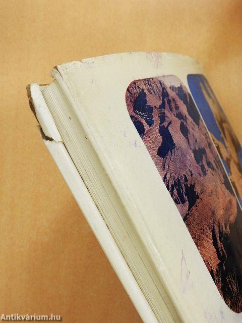 Grizzlymedvék, mammutfenyők, gejzírek világában