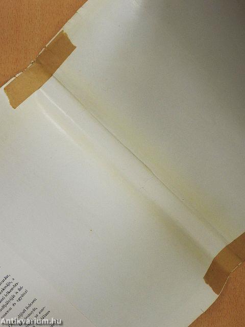 Grizzlymedvék, mammutfenyők, gejzírek világában