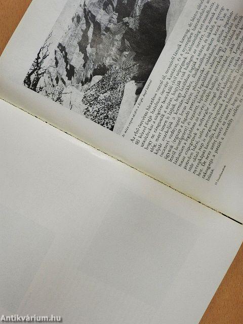 Grizzlymedvék, mammutfenyők, gejzírek világában