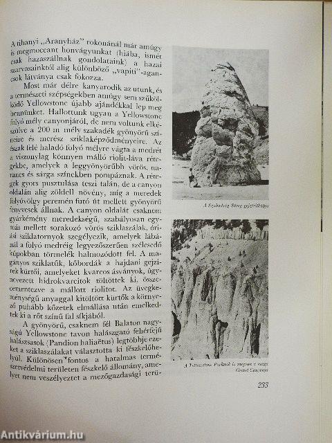 Grizzlymedvék, mammutfenyők, gejzírek világában