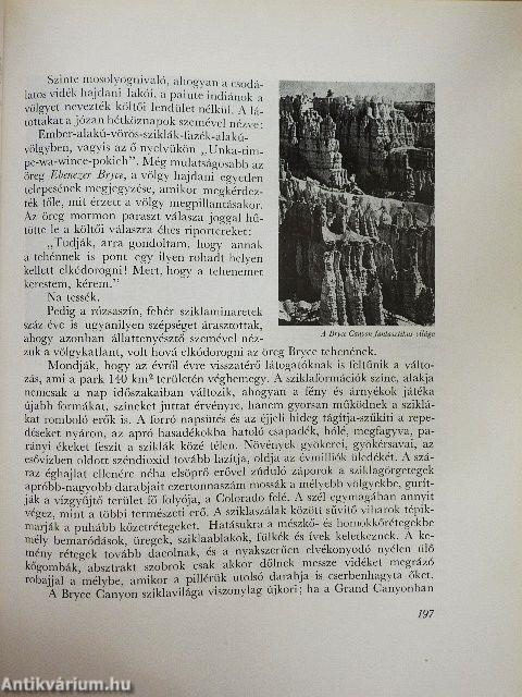 Grizzlymedvék, mammutfenyők, gejzírek világában