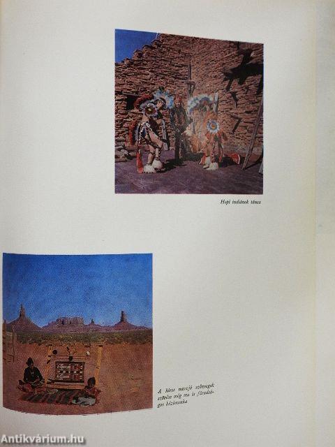 Grizzlymedvék, mammutfenyők, gejzírek világában