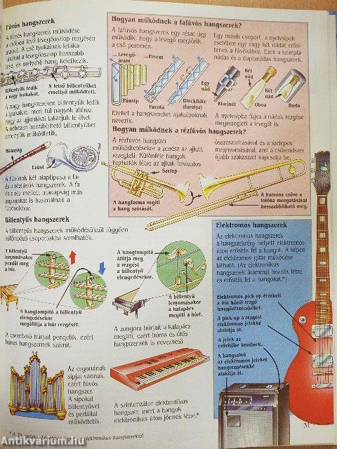 Bevezetés a zene világába