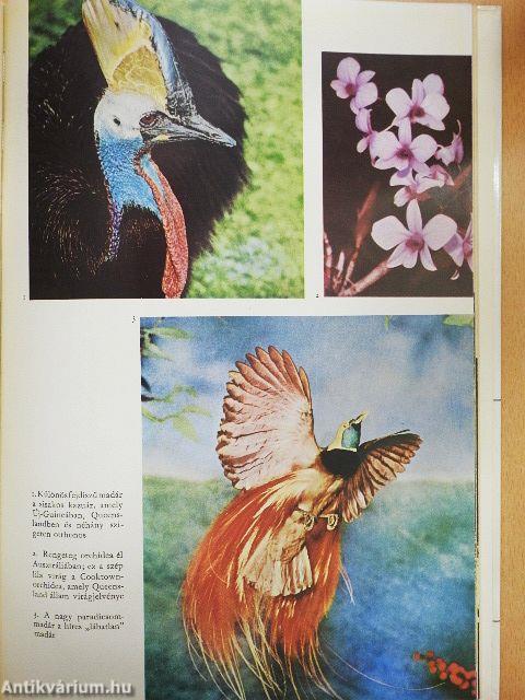 Ausztrália és Óceánia