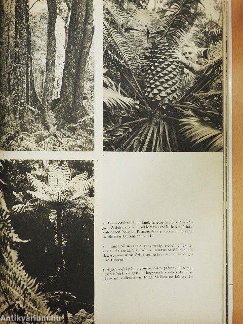 Ausztrália és Óceánia