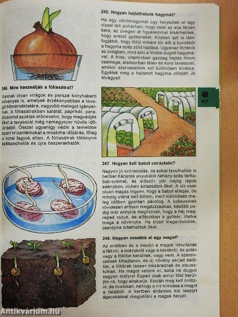 Minden napra egy kérdés