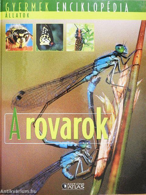 A rovarok