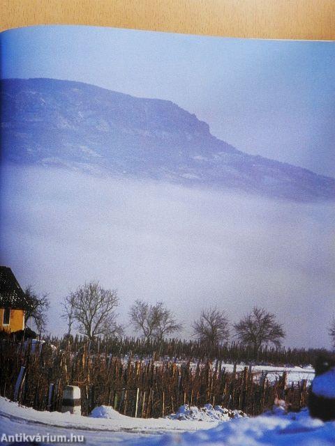 Balaton