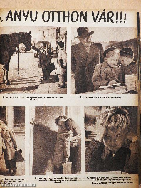 Nők Lapja 1956. (nem teljes évfolyam)