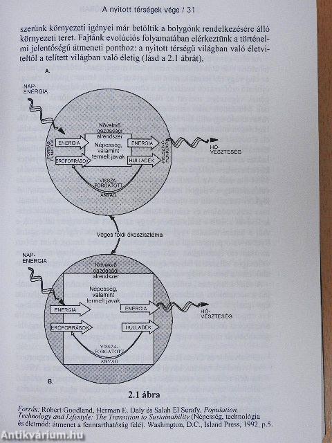 Tőkés társaságok világuralma