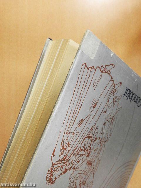 A fizika kultúrtörténete