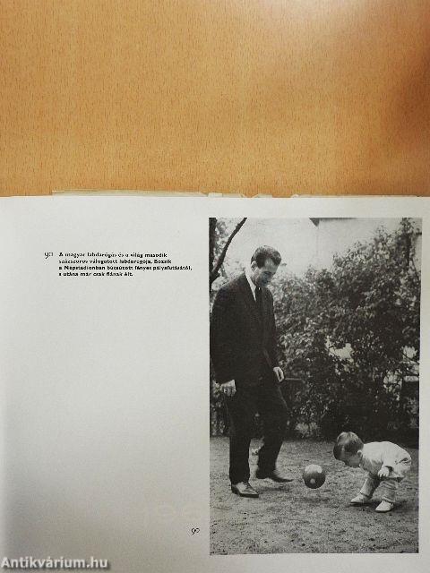 Labdarúgó világbajnokságok