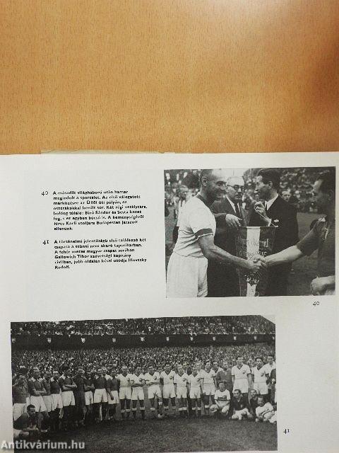 Labdarúgó világbajnokságok