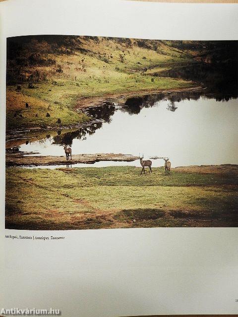 300 kép az életműből