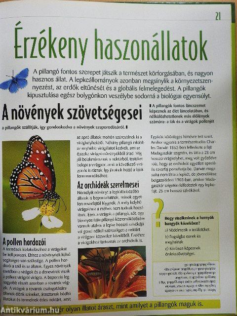 A pillangók