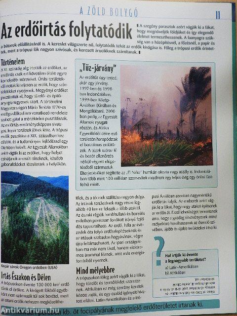 Az erdő