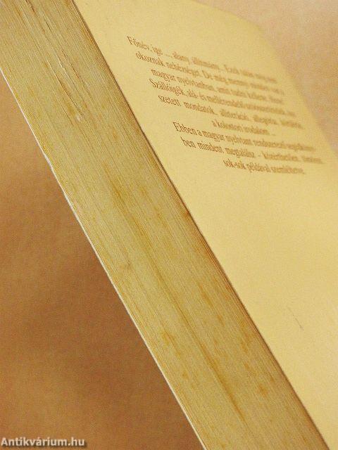 Gyakorlati magyar nyelvtan