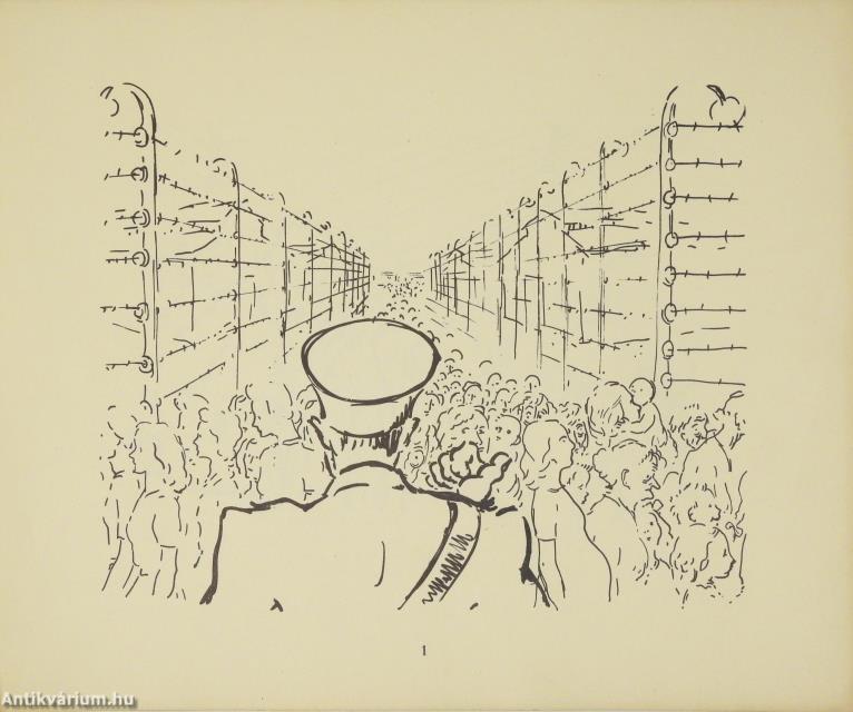 Auschwitz: Női tábor
