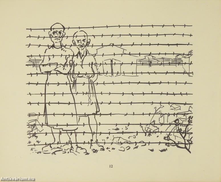 Auschwitz: Női tábor